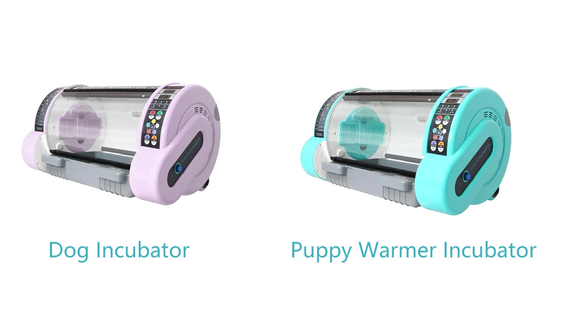 pet incubator pet incubator